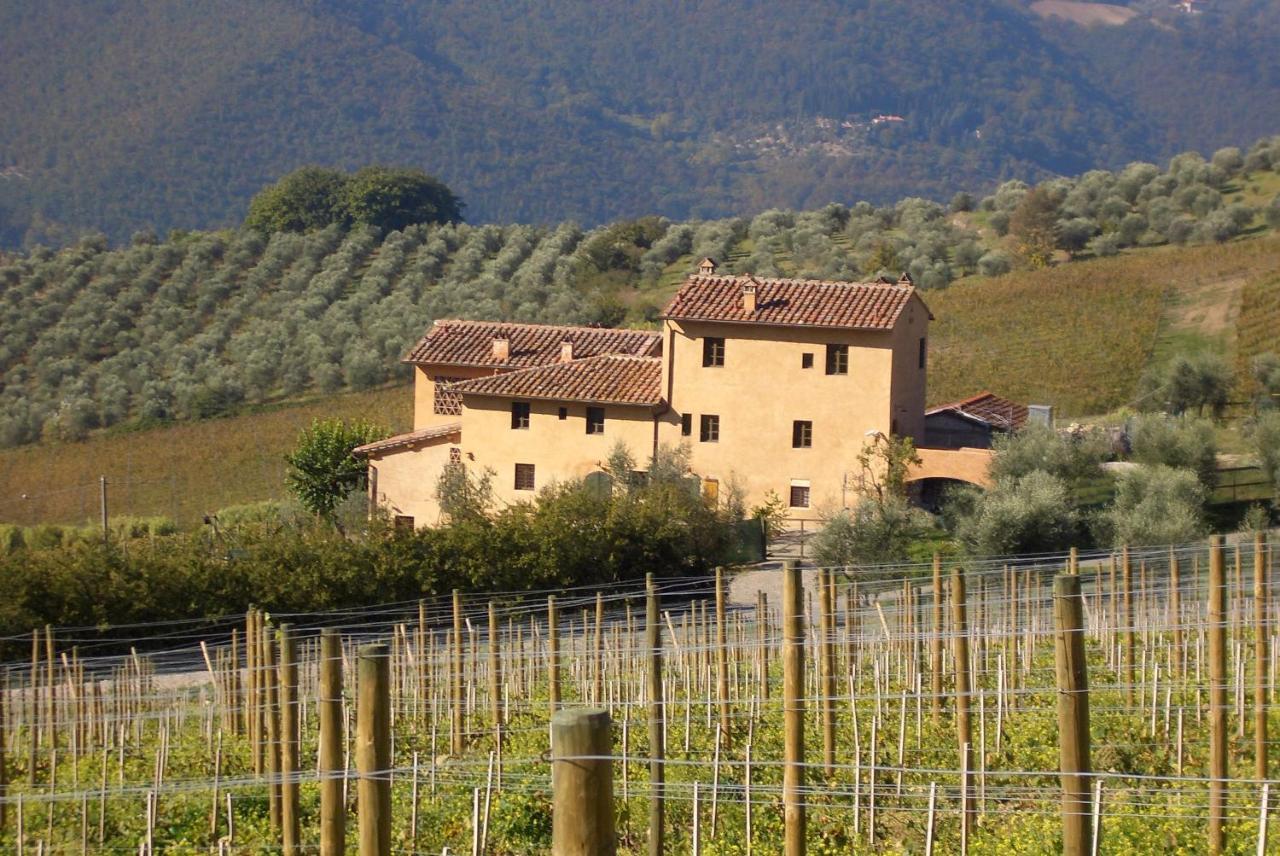 I Veroni - Agriturismo And Wine Cellar 폰타씨에베 외부 사진