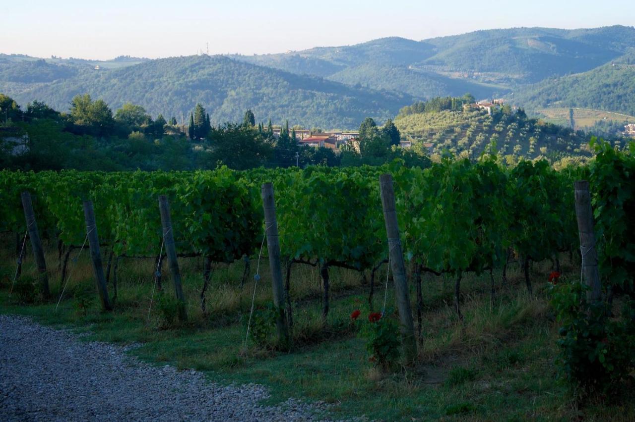 I Veroni - Agriturismo And Wine Cellar 폰타씨에베 외부 사진