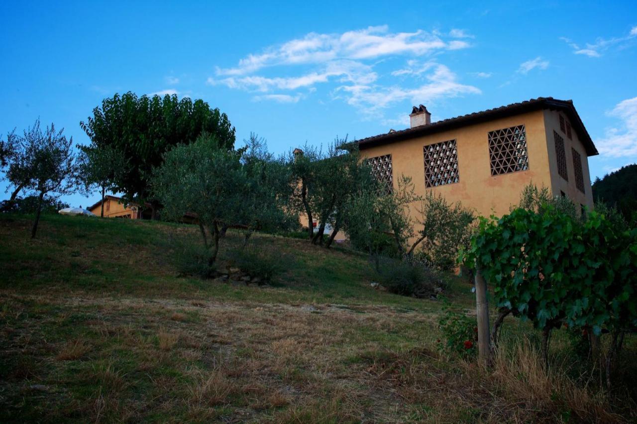I Veroni - Agriturismo And Wine Cellar 폰타씨에베 외부 사진